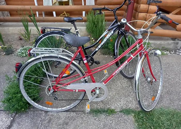 Dujakovic * Banja Vrucica